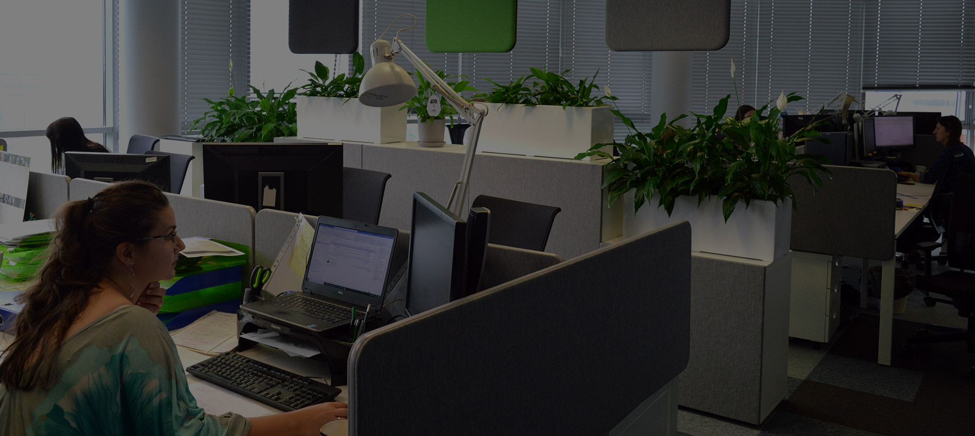Zostaw CV header zostawcv 1
