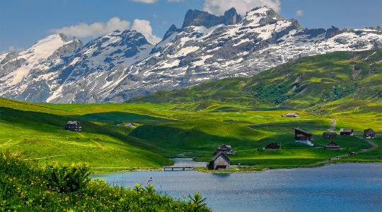 Francja | Cieśla szalunkowy alps tab